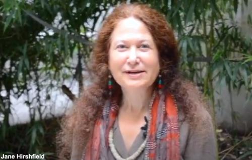 zz 4 Jane Hirshfield